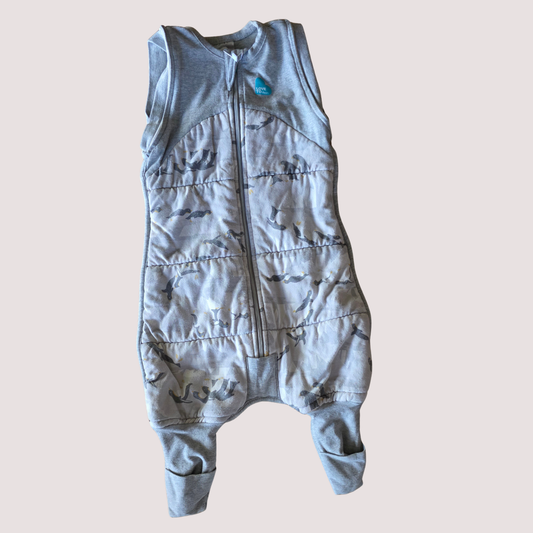 Love to Dream Sleepsuit 00