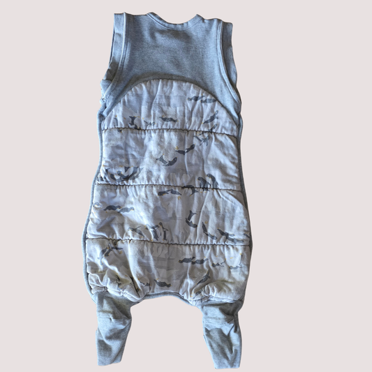 Love to Dream Sleepsuit 00