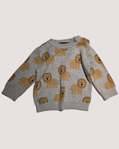 Lion Knit Set 3-6months