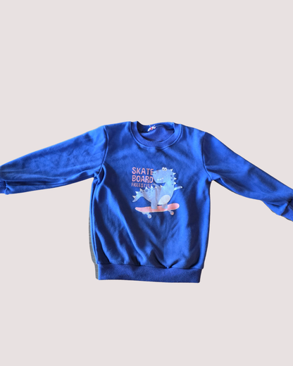 F&F Skateboarding Dinosaur Jumper 5Y