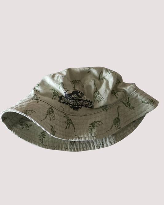 Jurassic Park Hat