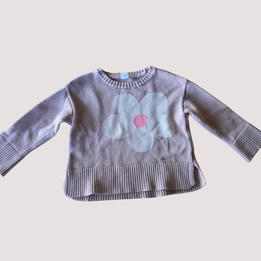 Baby Gap Jumper 4Y