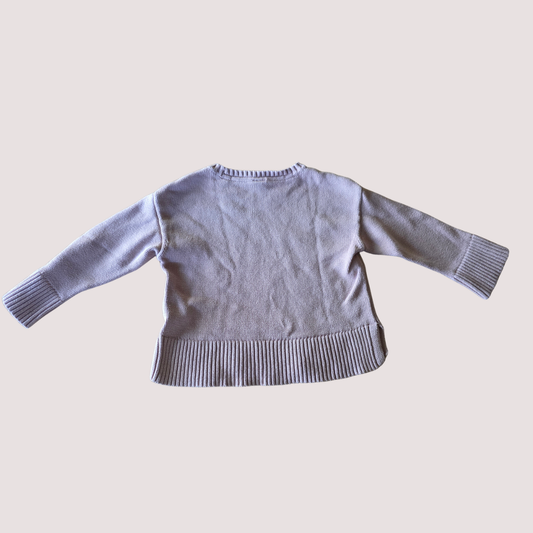 Baby Gap Jumper 4Y