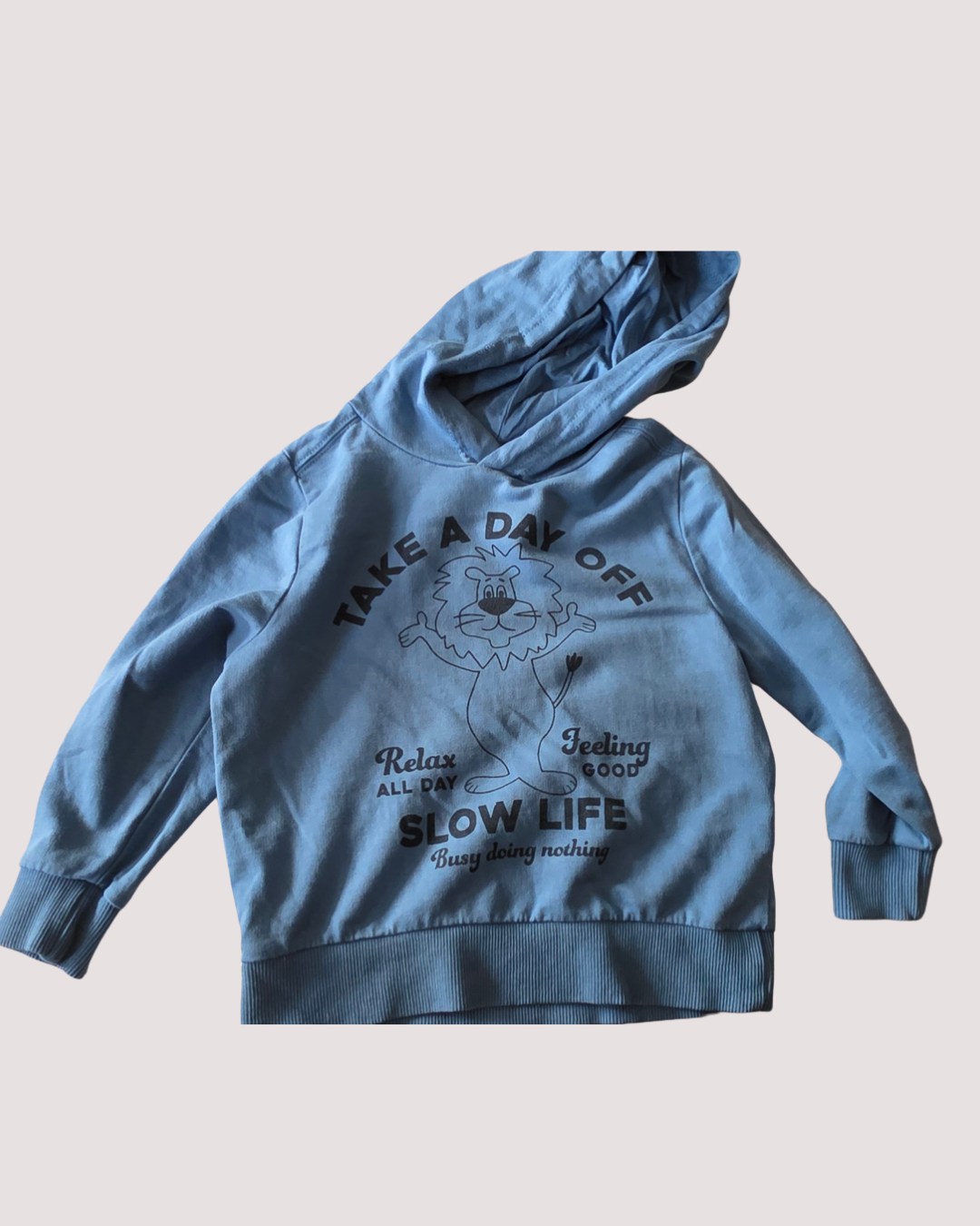 Seed Heritage Hoodie 3Y
