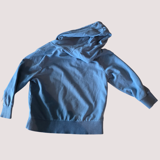 Seed Heritage Hoodie 3Y