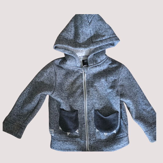Indi Kid Grey Hoodie 1Y